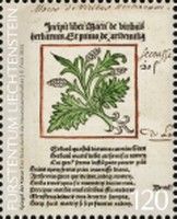 Illustration from Macer Floridus De viribus herbarium