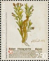 Illustration from Gart der Gesundheit