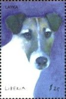 Dog Laika