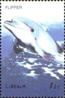 Delphin Flipper