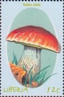 Porcini Mushroom (Boletus Edulis)
