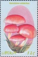 Brick-Red Sulfurhead (Naematoloma Sublateritium)