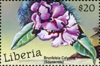 Brunfelsia (Brunfelsia Calycina)