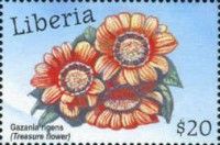 Gazania (Gazania Rigens)