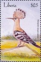 Hoopoe (Upupa epops)