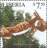 Impala (Aepyceros melampus) in Front of Bushes