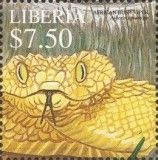 Brown Tree Viper (Atheris squamiger)