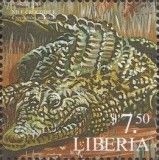 Nile Crocodile (Crocodylus niloticus)
