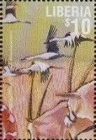 Crowned Cranes in Flight
