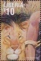 Lion, Human Arm