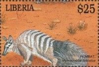 Numbat (Myrmecobius fasciatus)