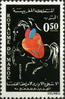 Human Heart and Horse