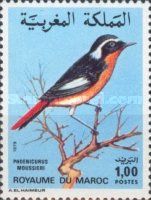 Moussier's Redstart (Phoenicurus moussieri)