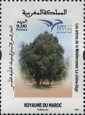 EUROMED Series - Trees of the Mediterranean