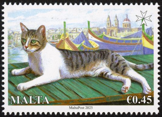 Cats of Malta