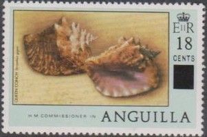 Queen Conch (Lobatus gigas) - Surcharged