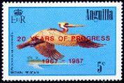 Brown Pelican (Pelecanus occidentalis) - Overprinted