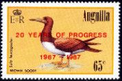 Brown Booby (Sula leucogaster) - Overprinted