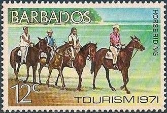 Horseback Riding