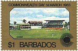 Cricket Game