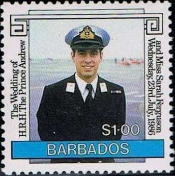 Andrew in navy uniform