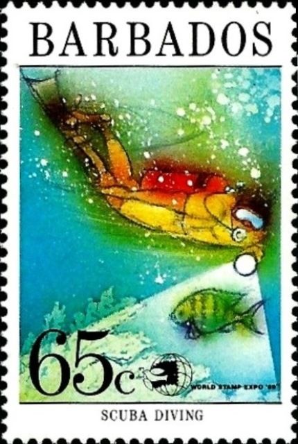 Scuba Diving
