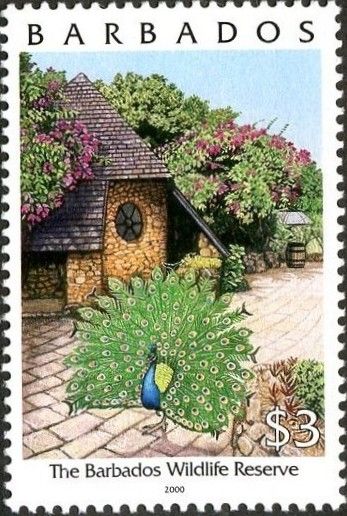 Barbados Wildlife Reserve