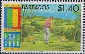 Golfer at tee
