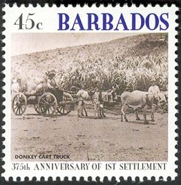 Donkey cart truck