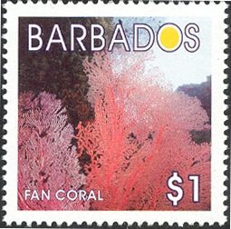 Fan Coral
