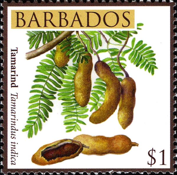 Tamarind