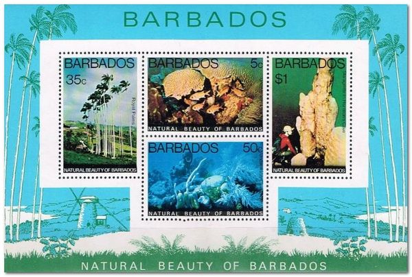 Natural Beauty of Barbados