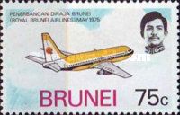 Boeing 737 in Flight
