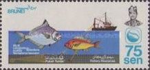 Trawler, Splendid Ponyfish (Leiognathus splendens)