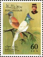 Asian Paradise Flycatcher (Terpsiphone paradisi)