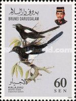 Oriental Magpie-Robin (Copsychus saularis)