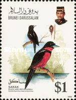 Black-and-red Broadbill (Cymbirhynchus macrorhynchos)