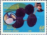 Pulasan (Nephelium mutabile)