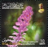 Dendrobium secundum
