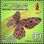 Malayan Zebra (Graphium delessertii)