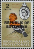 African Hoopoe (Upupa epops africana)