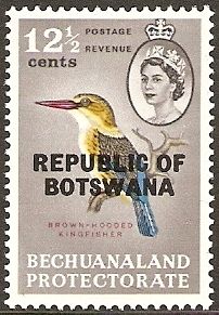 Brown-hooded Kingfisher (Halcyon albiventris)
