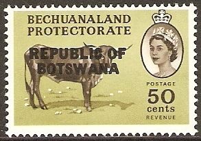 Betschuana Cattle (Bos primigenius taurus)
