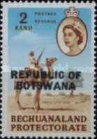 Kalahari-Policeman, Dromedary (Camelus dromedarius)