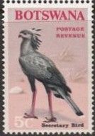 Secretary Bird (Sagittarius serpentarius)