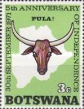 Ox Head