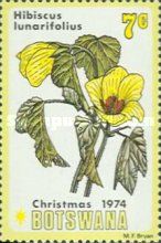 Hibiscus lunarifolius