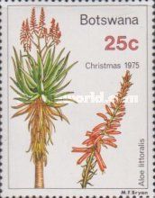 Aloe littoralis