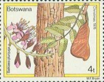 African Teak (Baikiaea plurijuga)