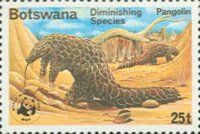 Ground Pangolin (Manis temmincki)